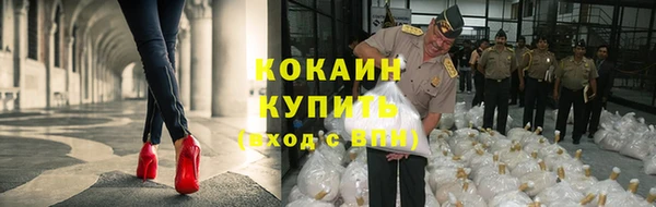 стаф Заволжье