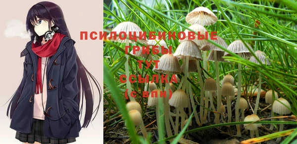 а пвп мука Заводоуковск