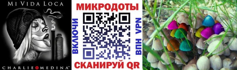 Галлюциногенные грибы Psilocybe Зеленодольск